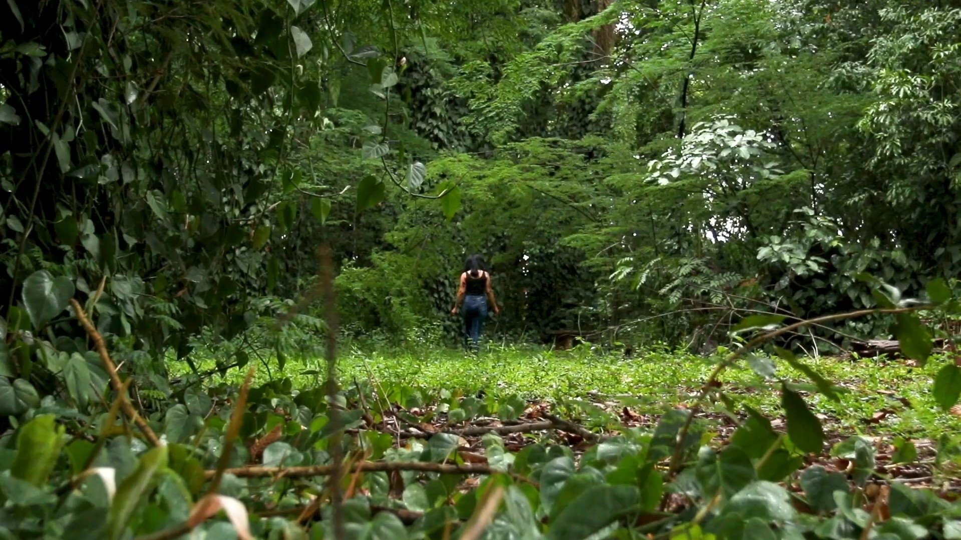 Natur