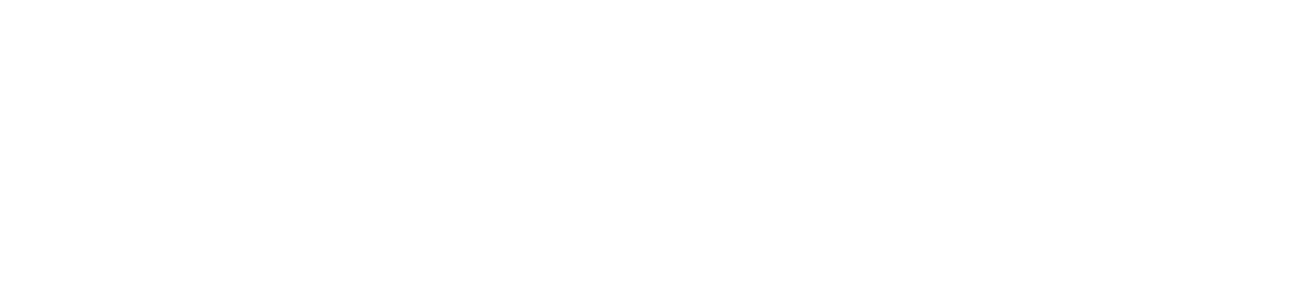 Florence Nightingale