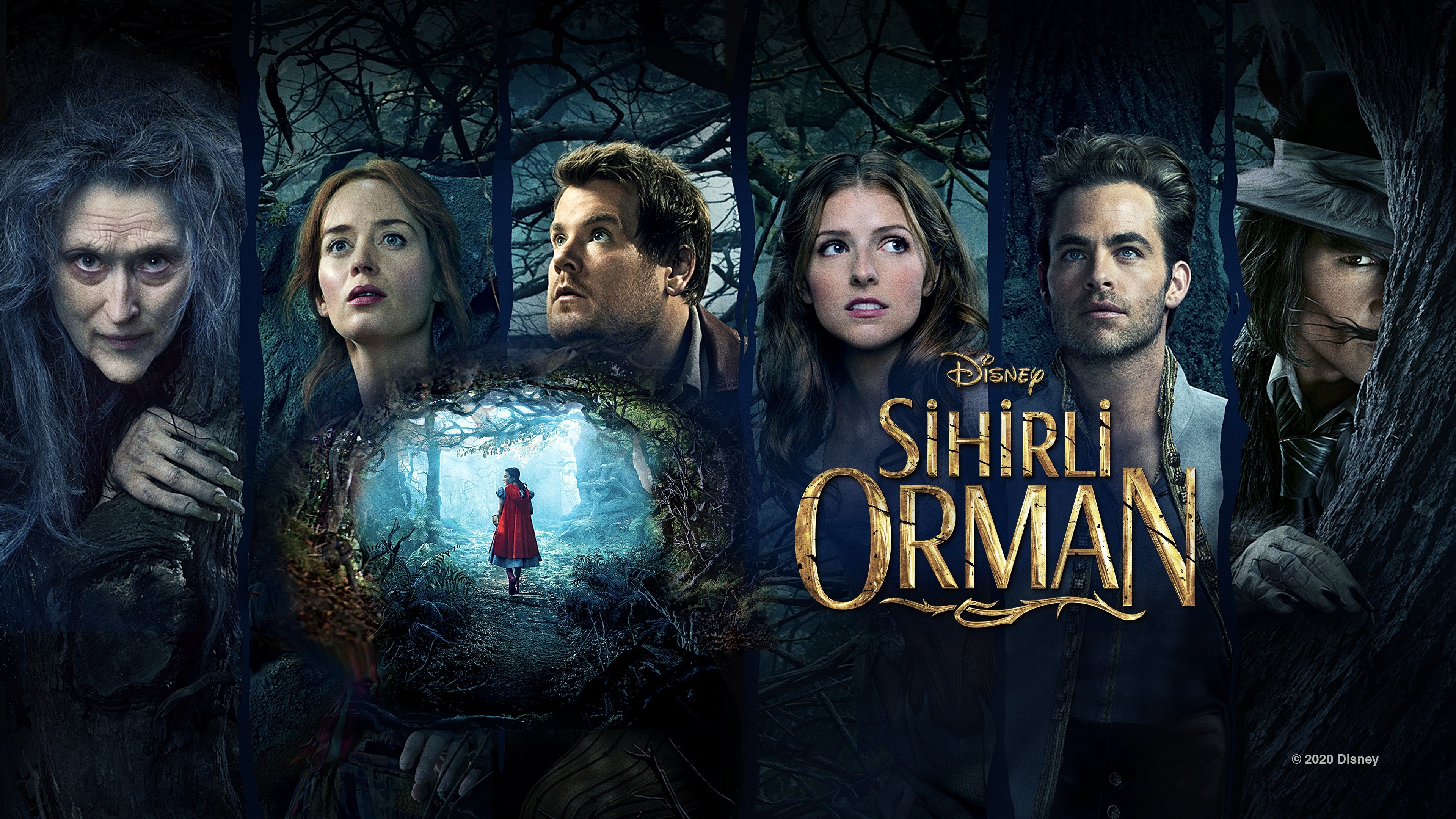 Into the Woods (2014)