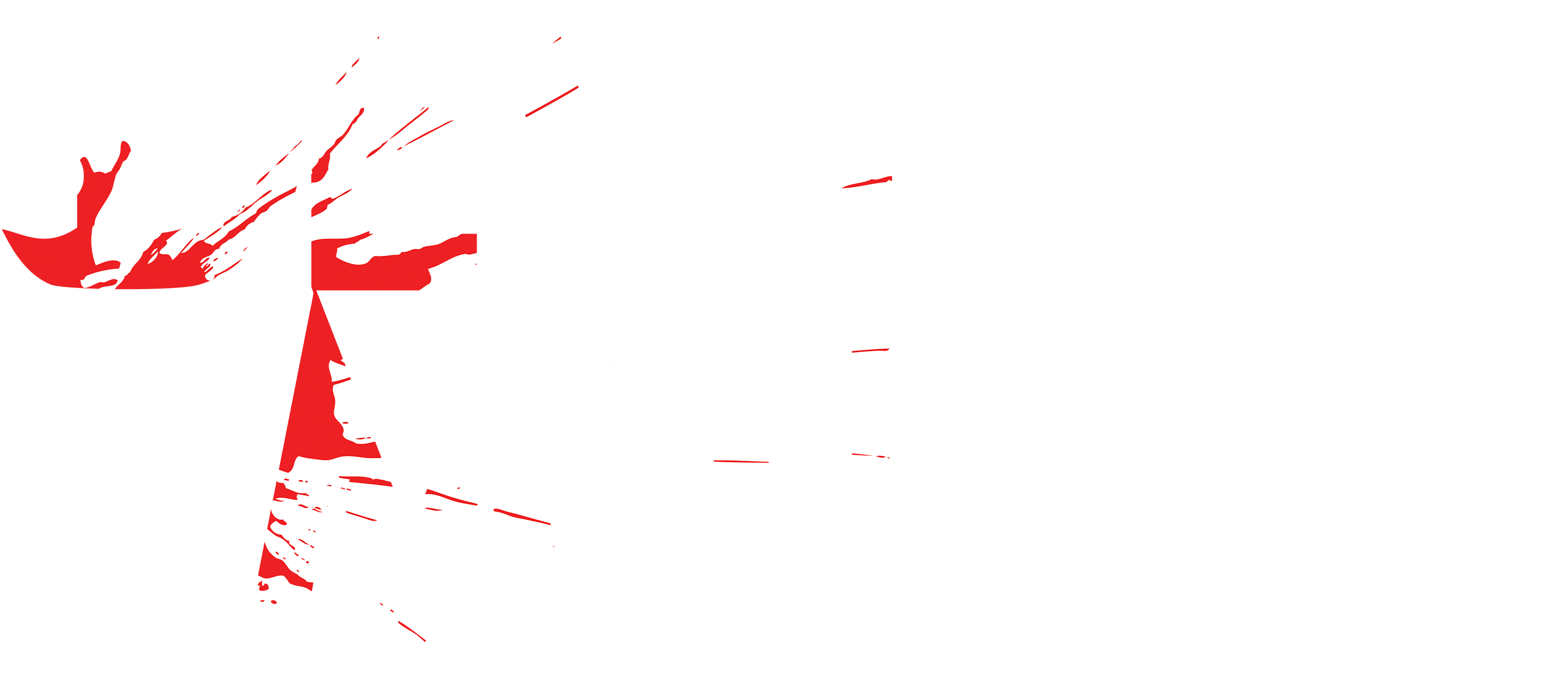 Devious Maids Logo