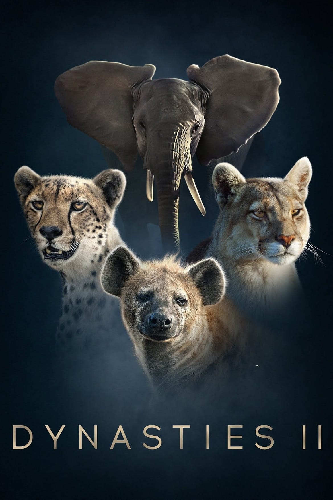 Dynasties II TV Shows About Wildlife