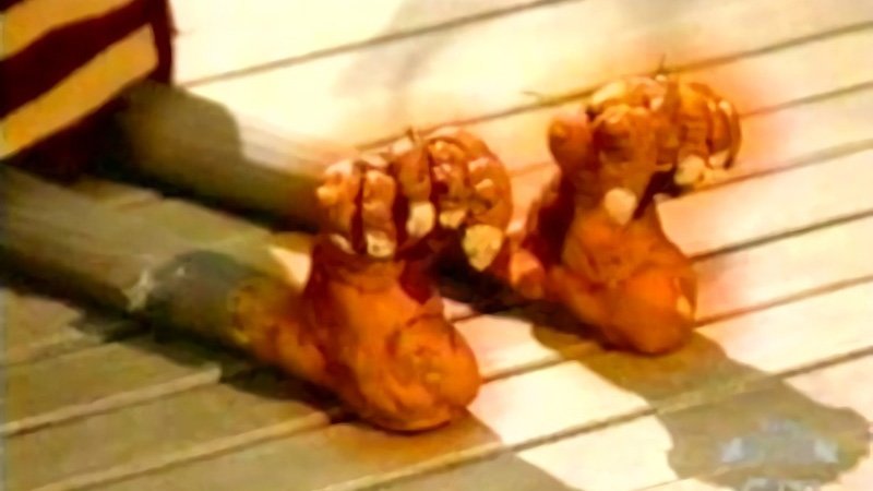 Las maravillosas desventuras de Flapjack