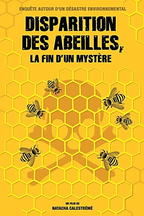 Disparition des abeilles, la fin d'un myst&egrave;re