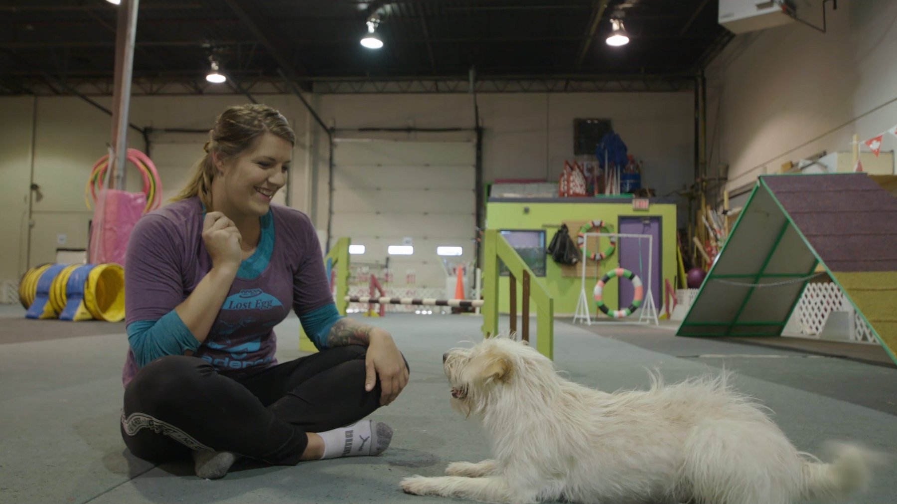 Dogsville (2021)