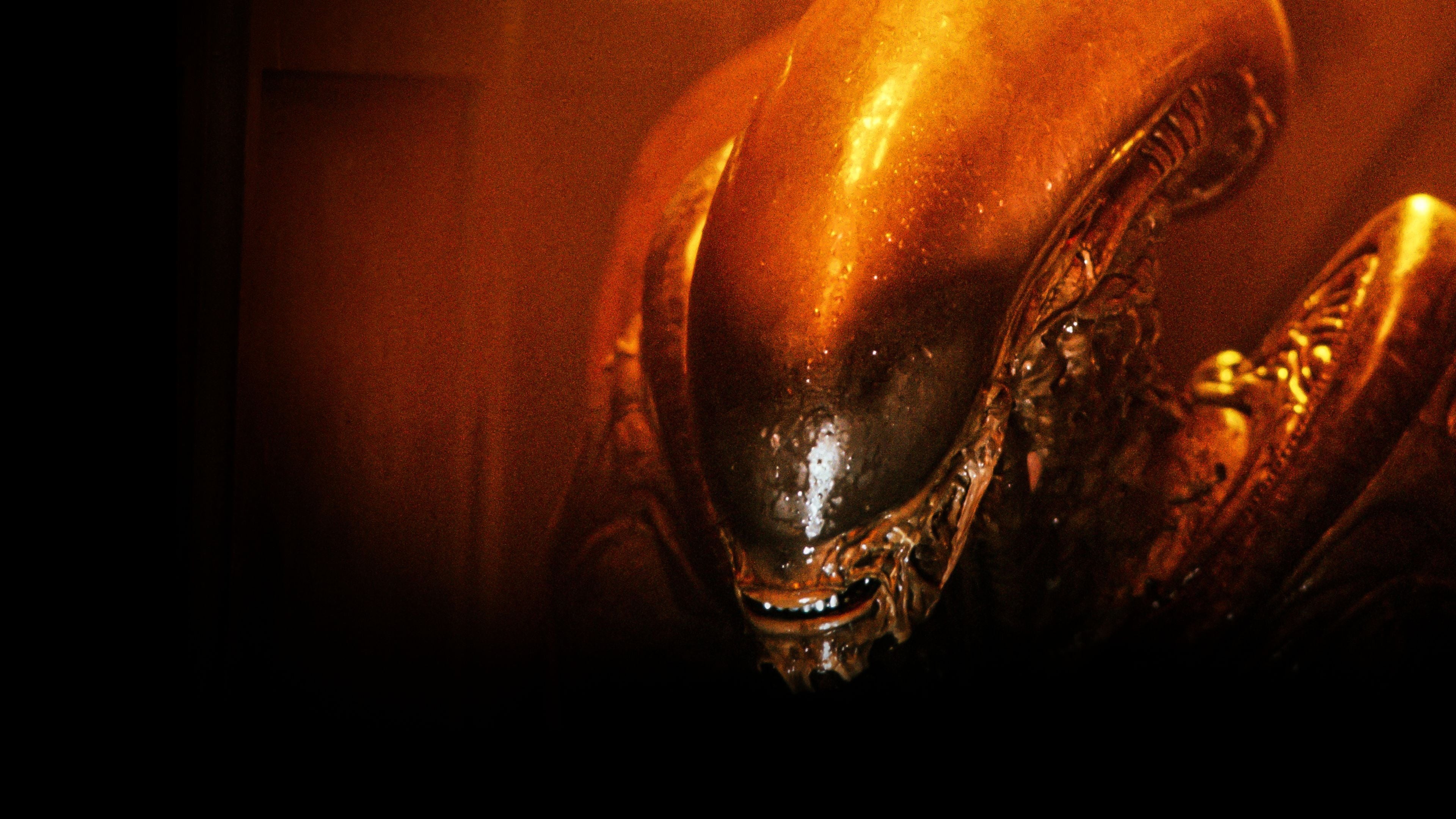 Image du film Alien 3 3kpyft89p28avlh5m7t4dqziv93jpg