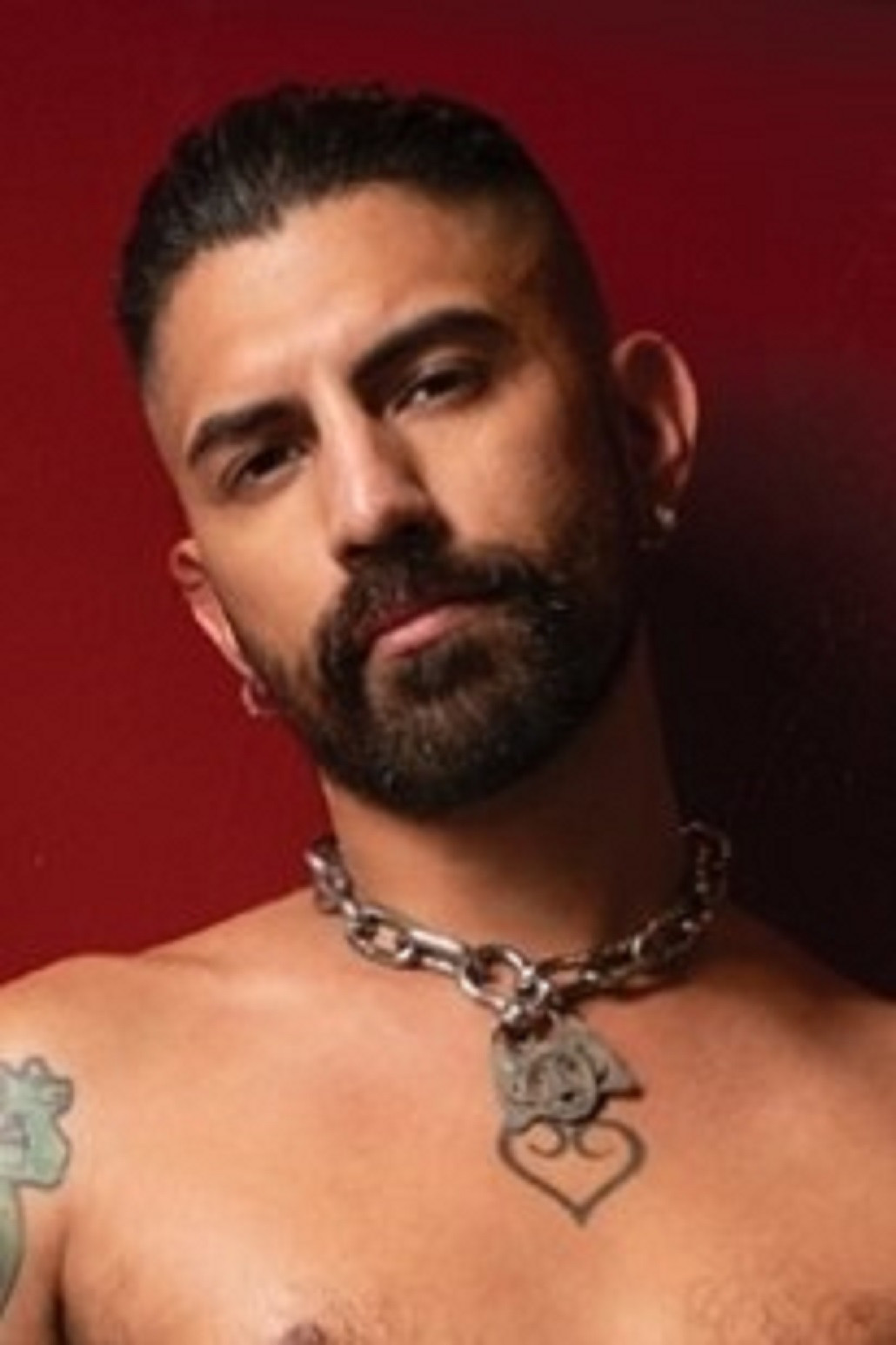 et billede af Pup Hades