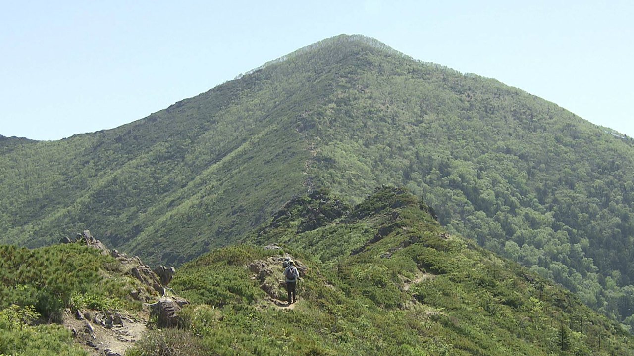 Wild Hokkaido!