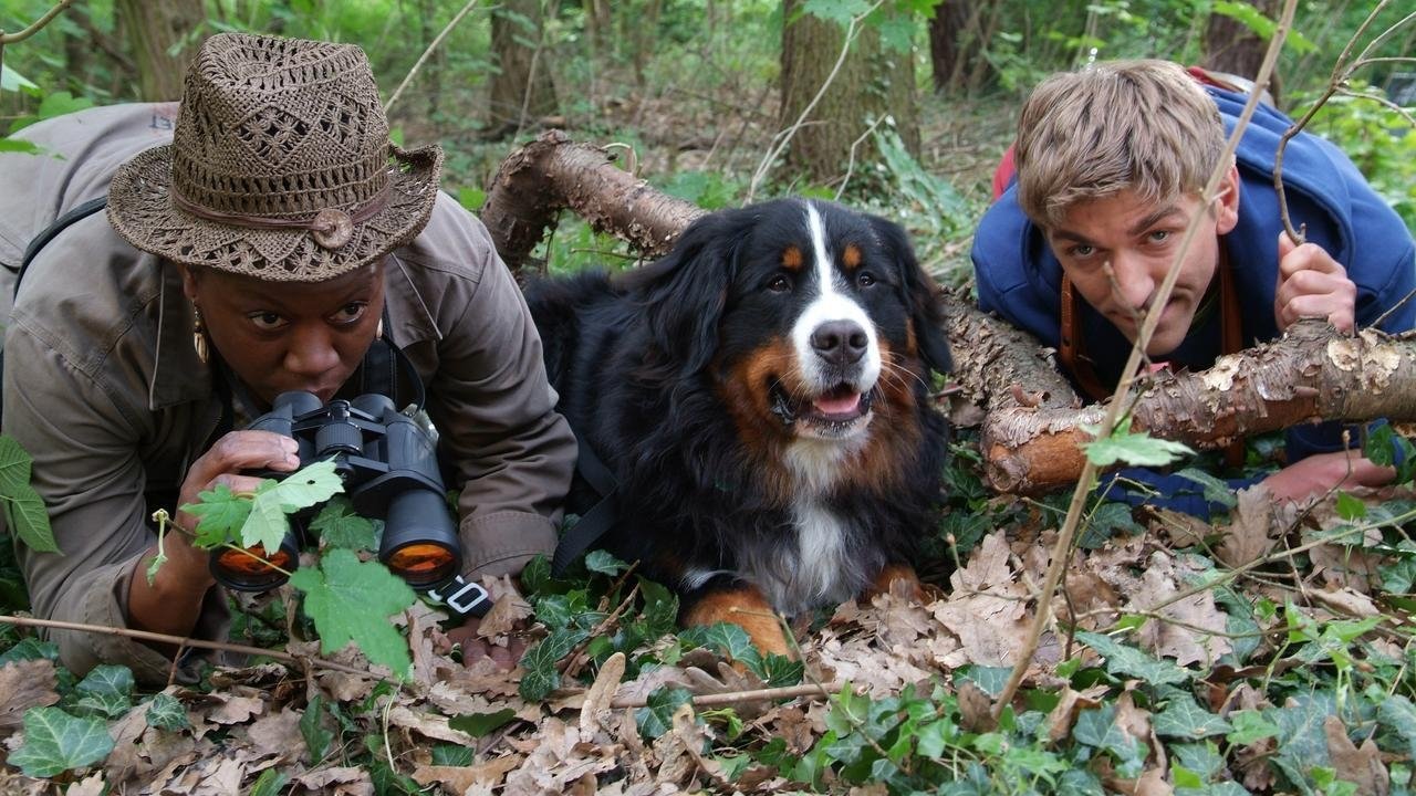 Löwenzahn Staffel 26 :Folge 4 