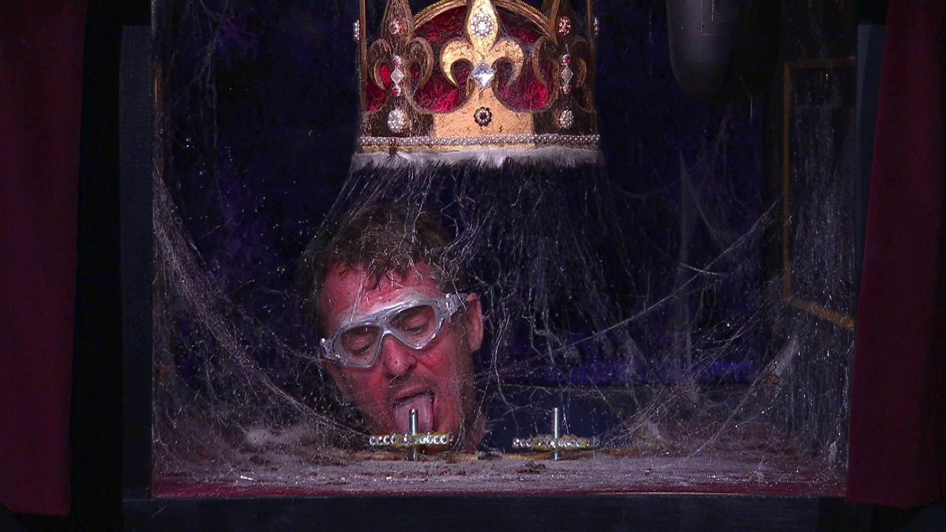I'm a Celebrity...Get Me Out of Here!
