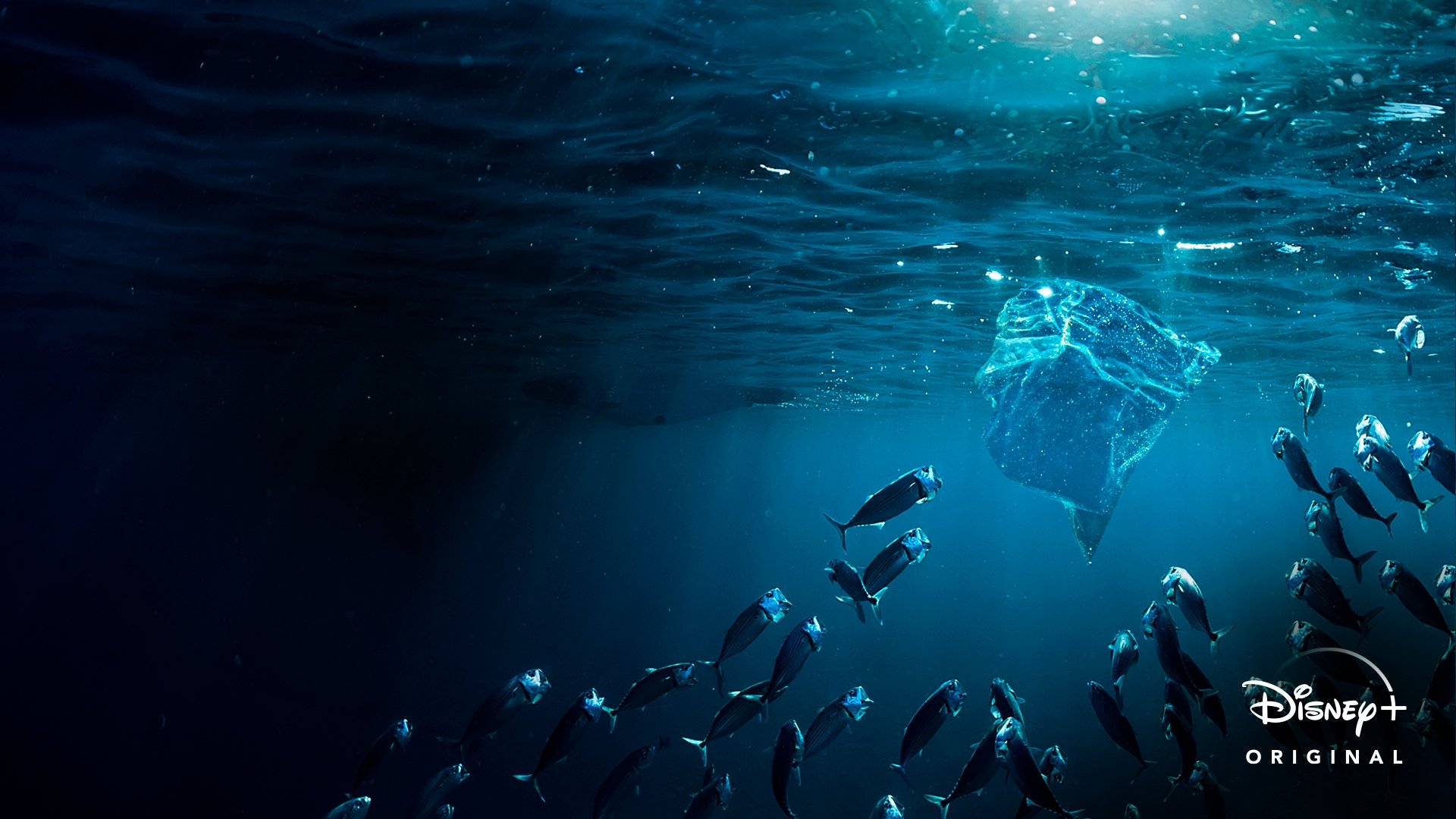 Sea of Plastic (2020)