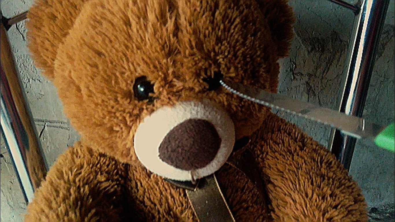 Teddy Bear ()