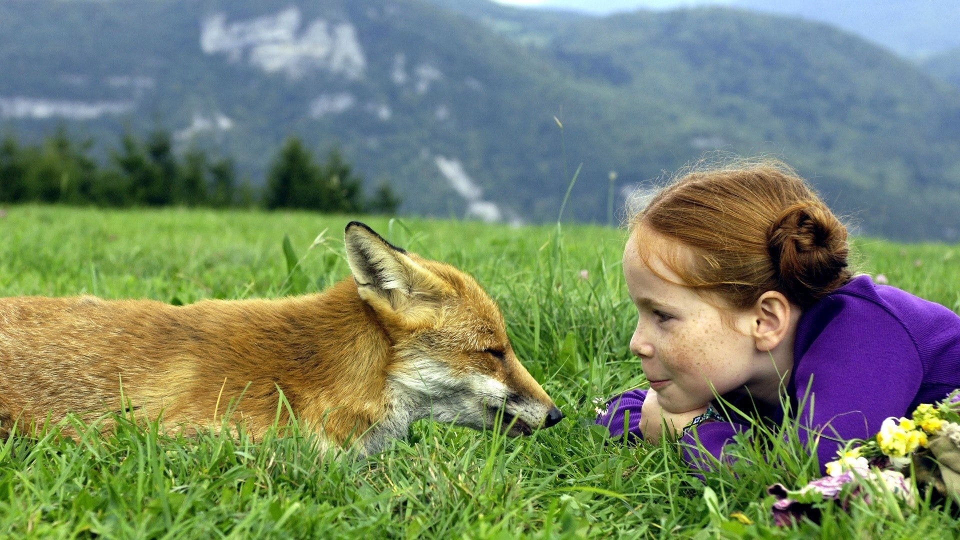 Le Renard et l'Enfant (2007)