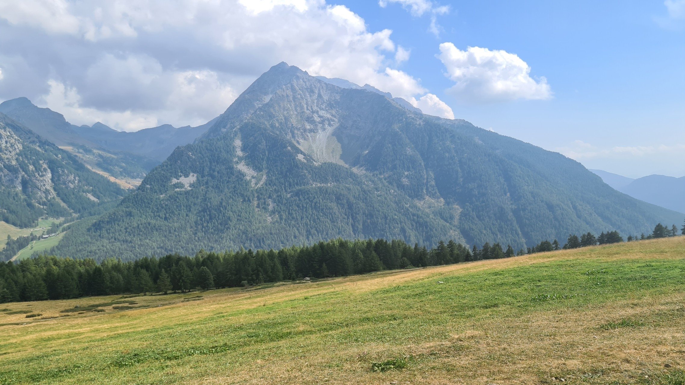 La Stella Del Parco backdrop cover