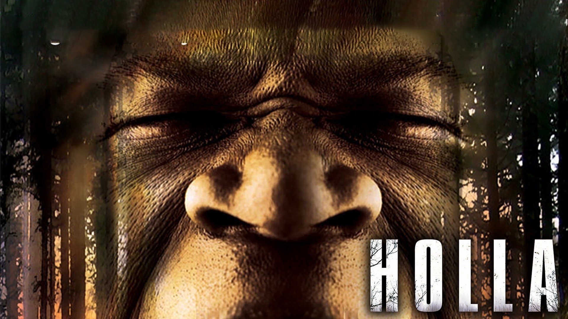 Holla (2006)