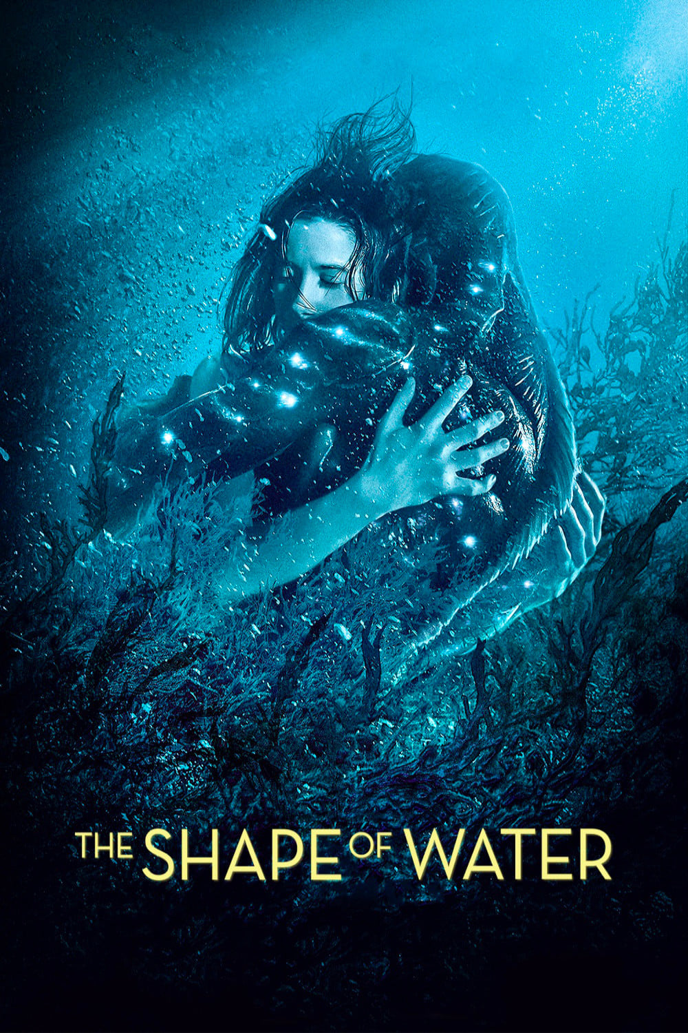 The Shape of Water