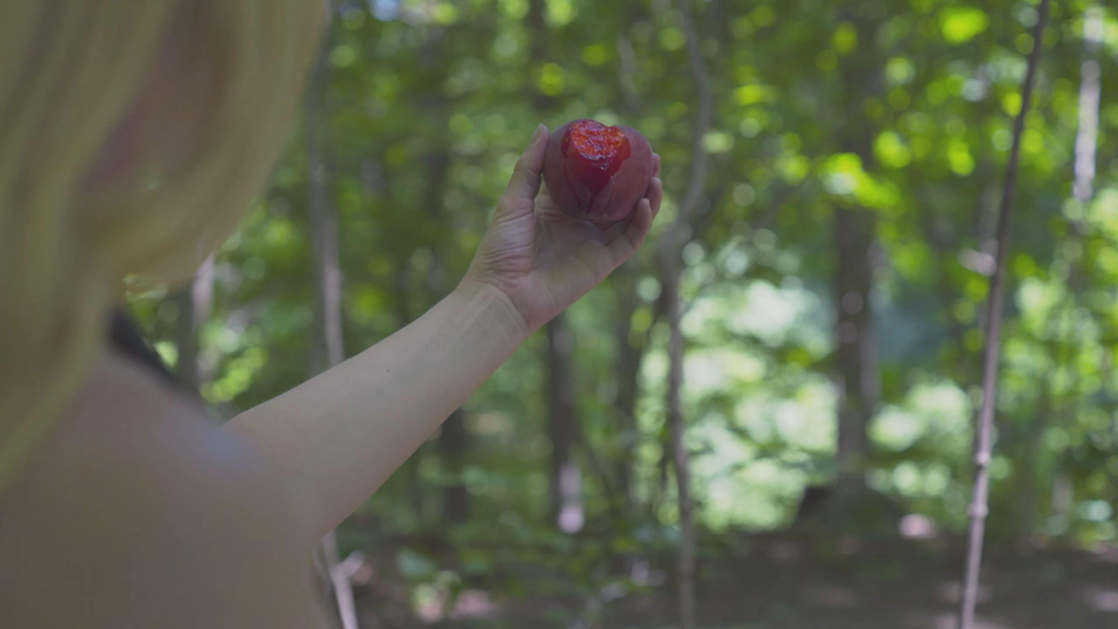 Imagem do Filme Peaches