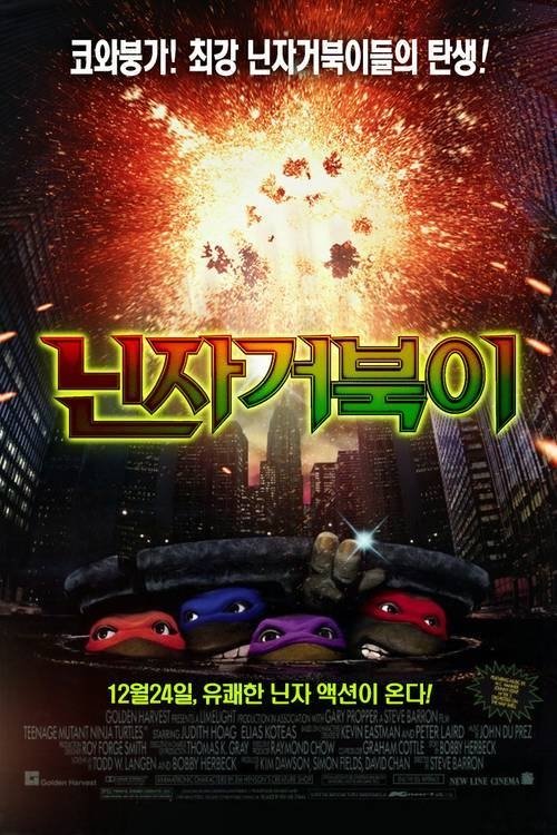 닌자 거북이
