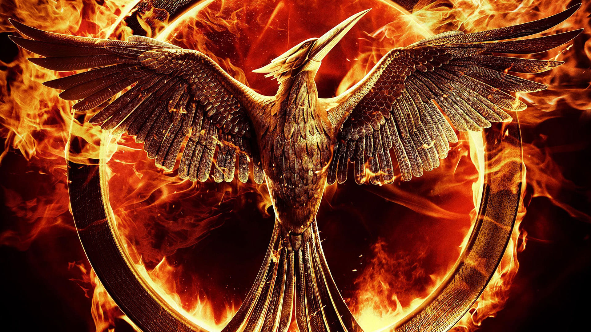 Image du film Hunger Games : la révolte, 1ère partie 3snwtu5mszv7vvzluuhjjos702bjpg