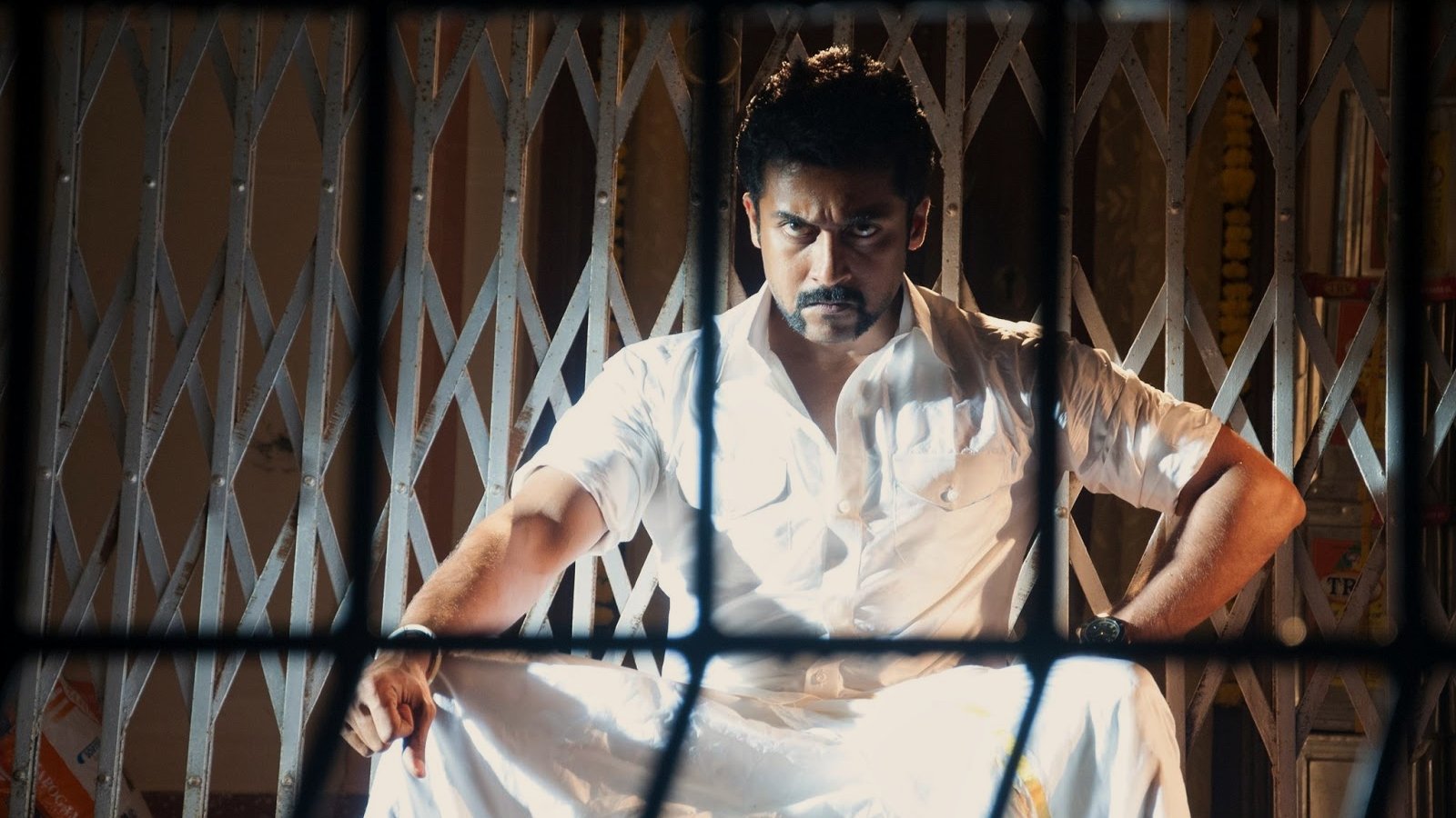 Singam 2 (2013)