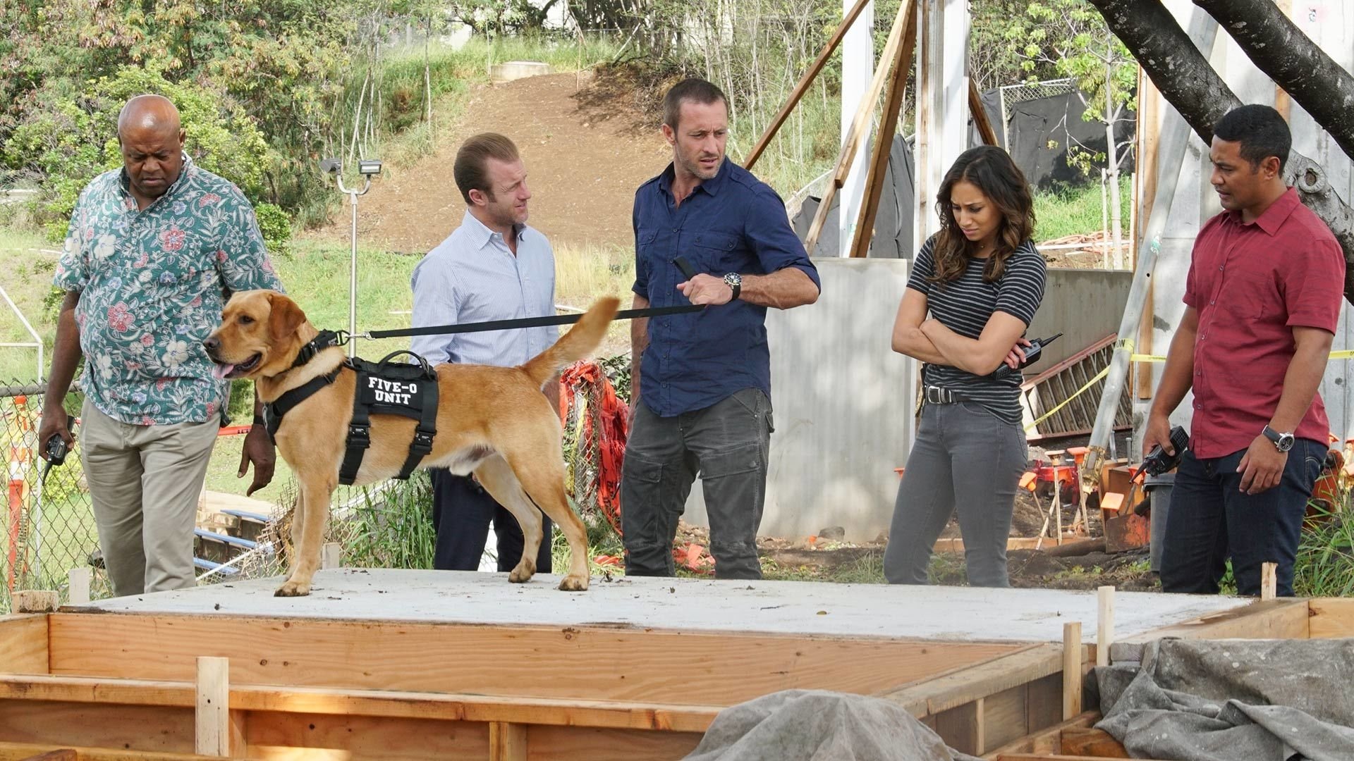 Hawaii Five-0 Season 8 Episode 16