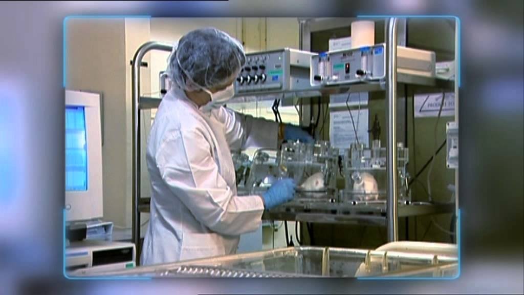 C'est pas sorcier - Nanotechnologies : où se cachent-elles ?