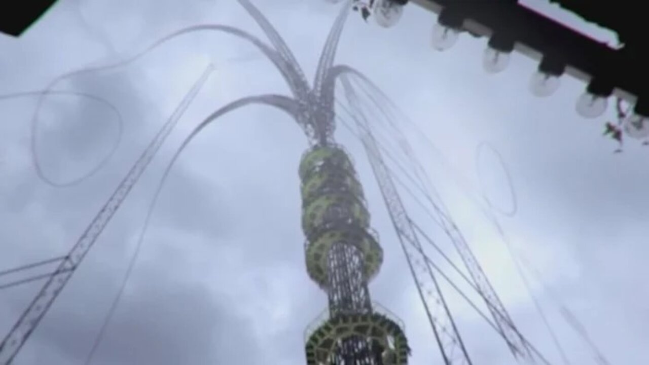 The Centrifuge Brain Project (2012)