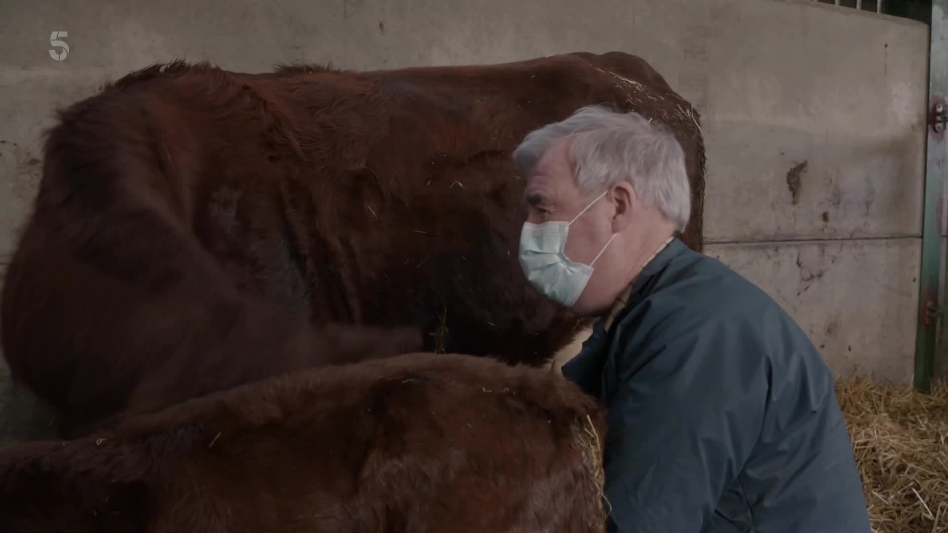 The Yorkshire Vet S12E07 backdrop