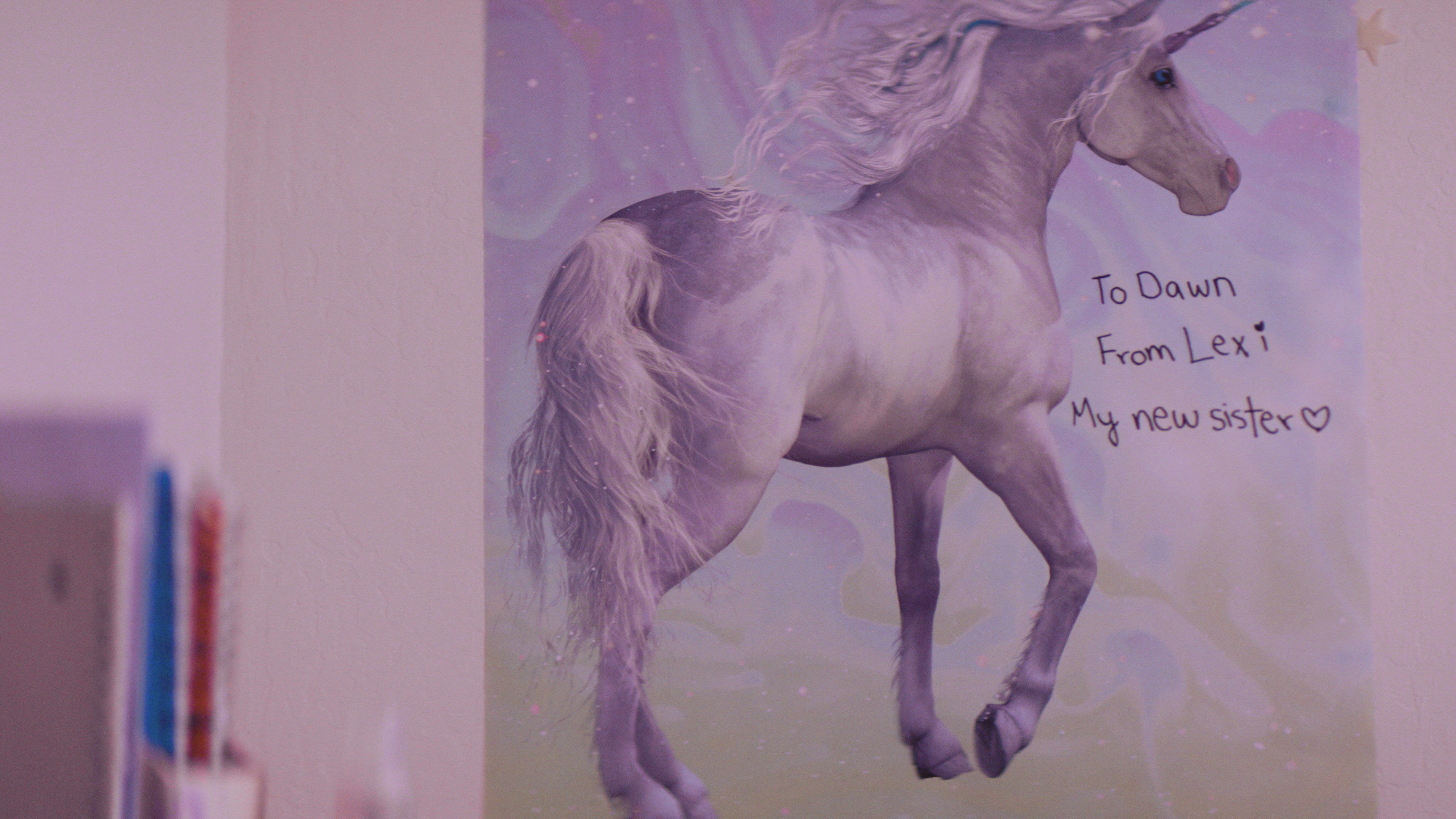 The Summer of Lexi & Dawn