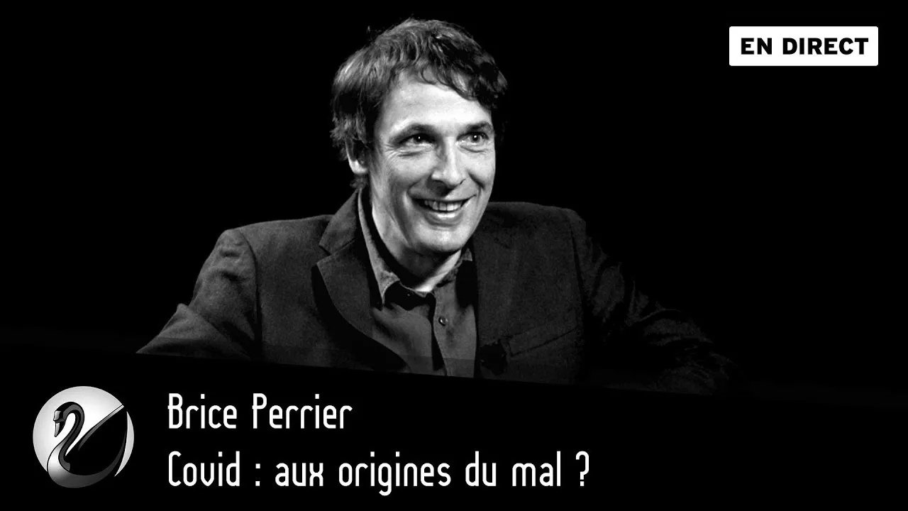 Thinkerview - Covid : aux origines du mal ? Brice Perrier