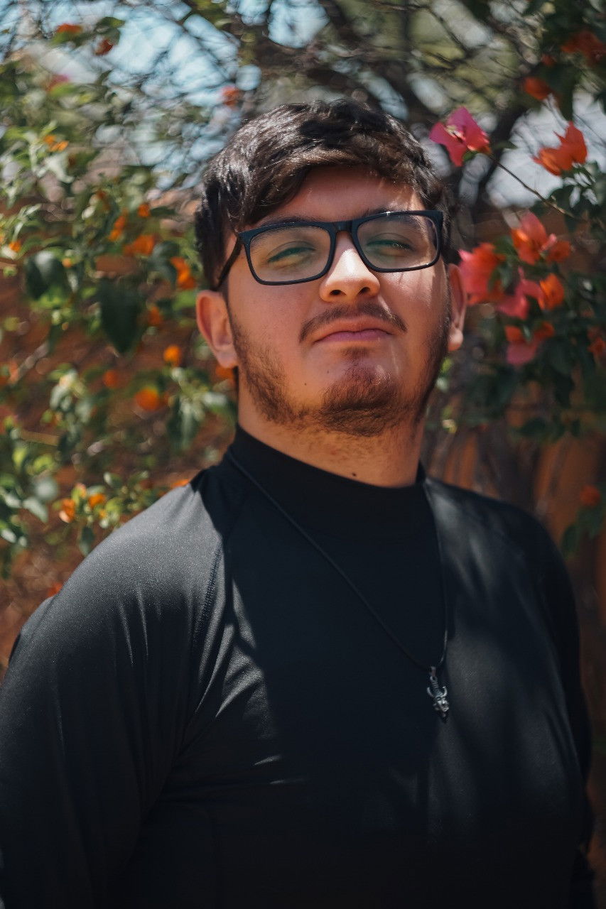 et billede af César Sticks