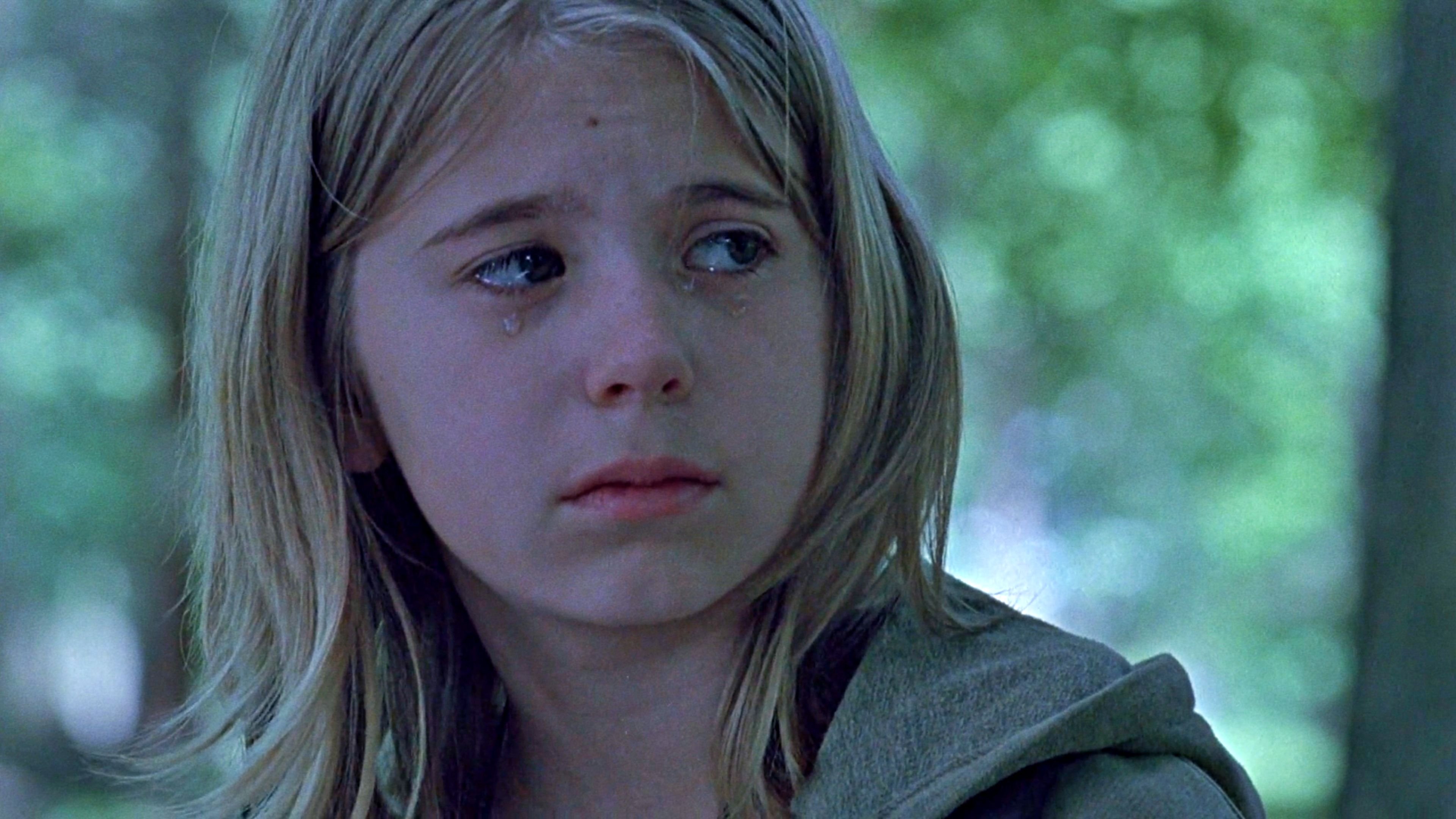The Woodsman (2004)