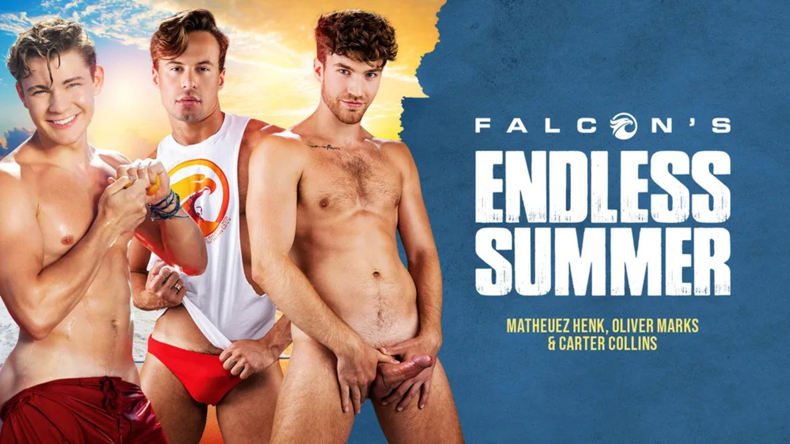 Falcon's Endless Summer