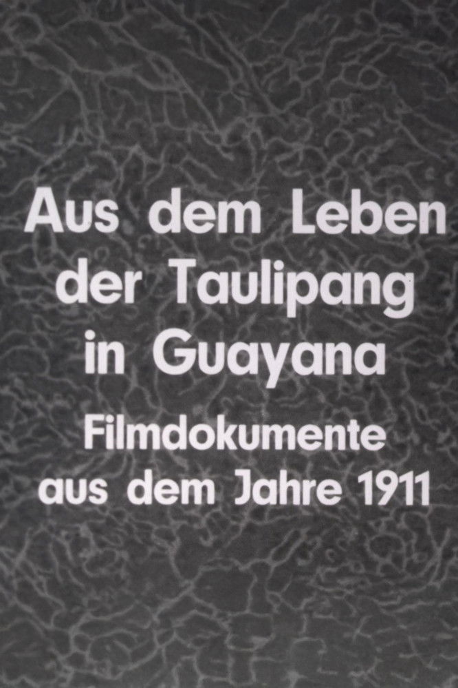 Poster for Aus dem Leben der Taulipang in Guayana