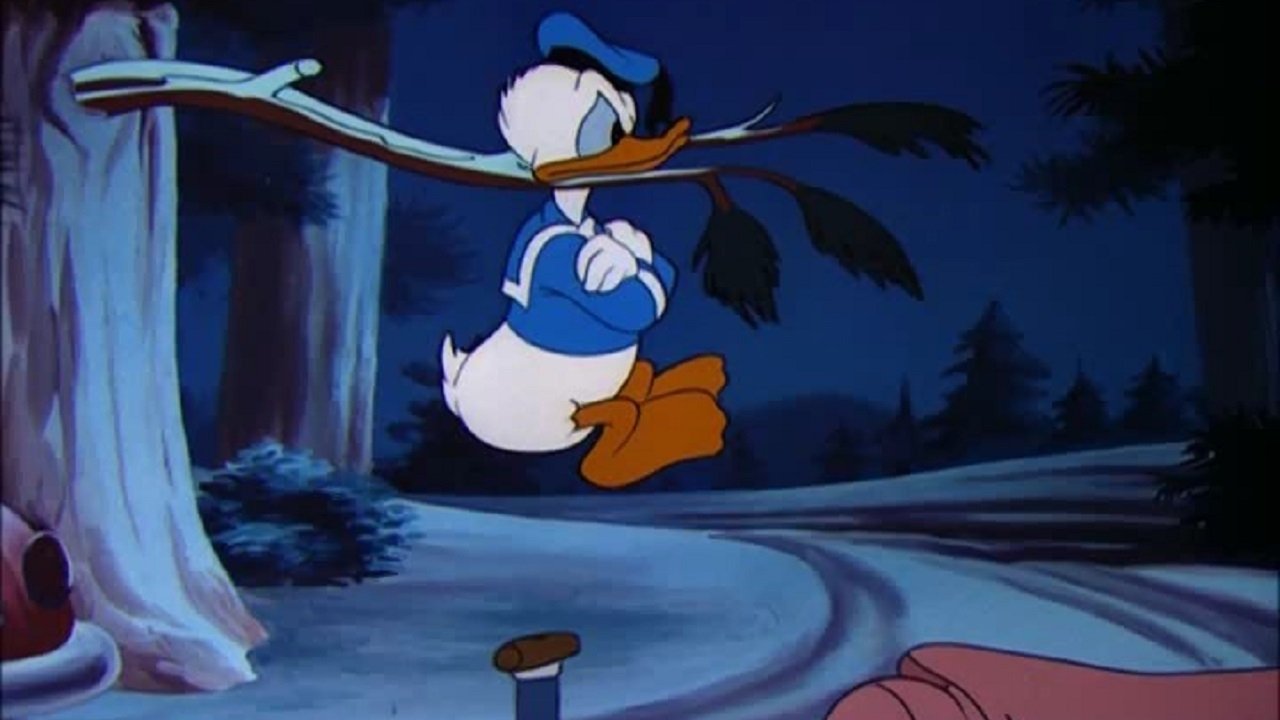 Wide Open Spaces (1947)