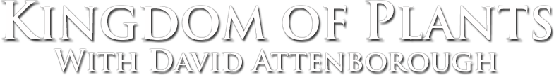 Kingdom of Plants Logo
