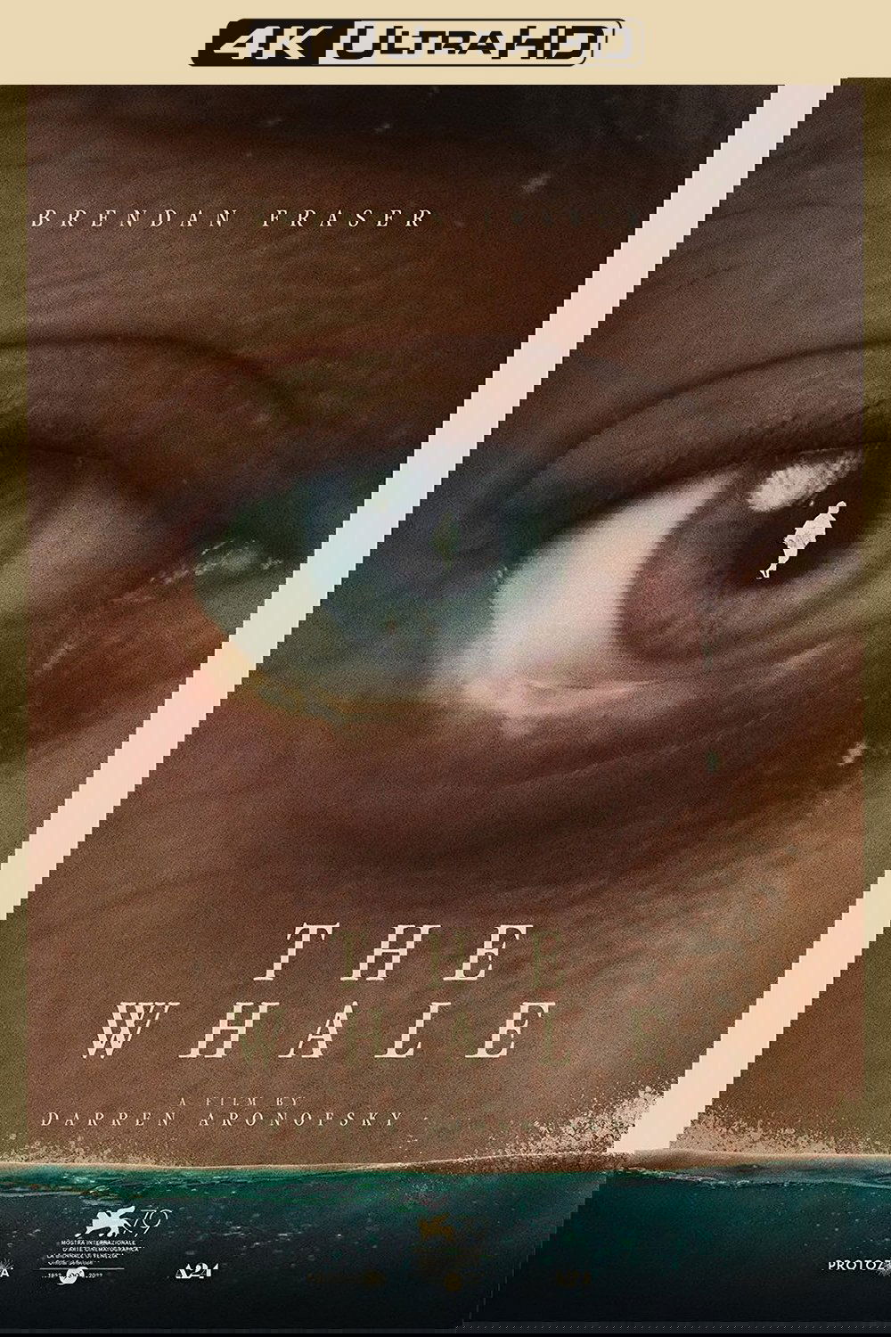 The Whale