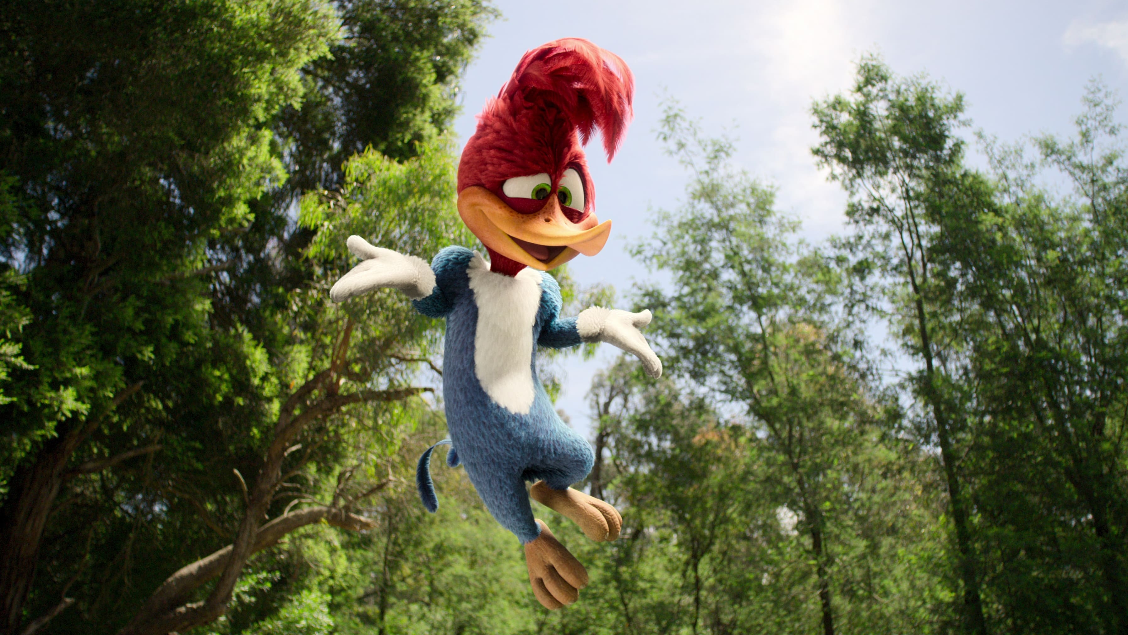 Woody Woodpecker gaat op kamp