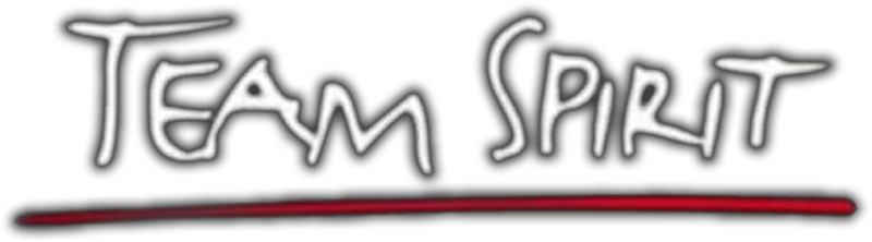 Team Spirit: De serie