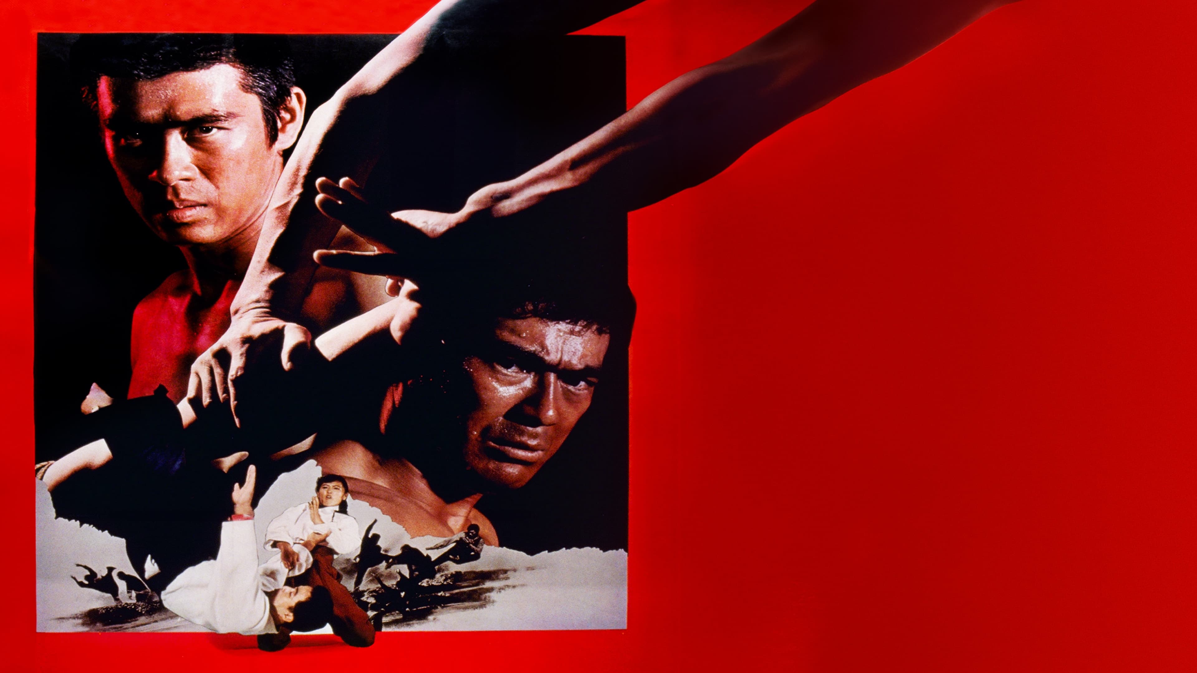 The Decisive Power of Aikido (1975)