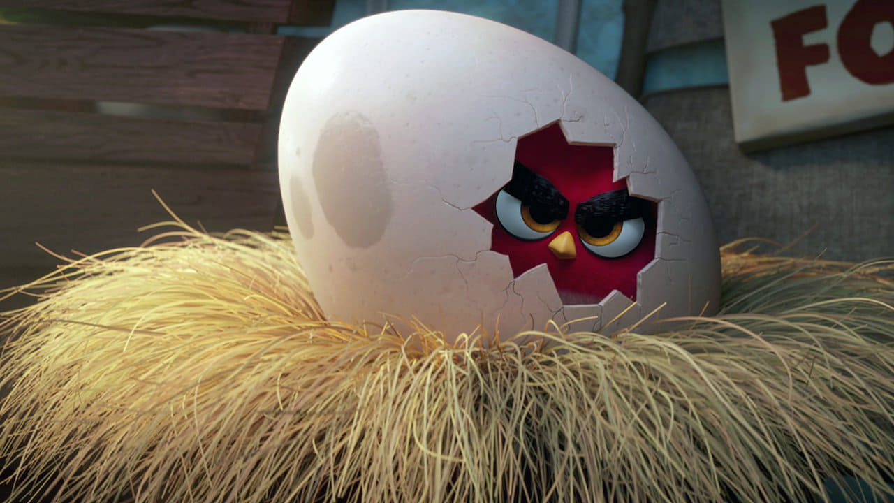 The Angry Birds Movie (2016)