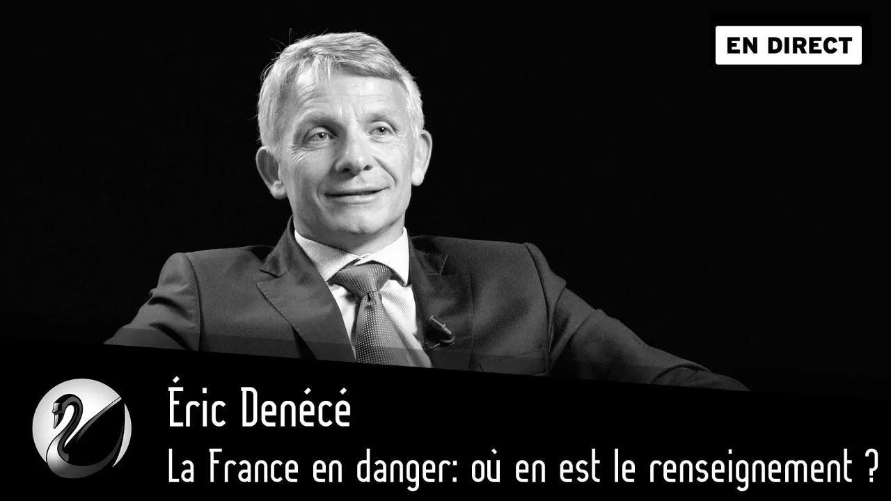 Thinkerview - La France en danger: où en est le renseignement ? Eric Dénécé