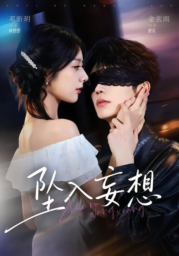 坠入妄想 Poster
