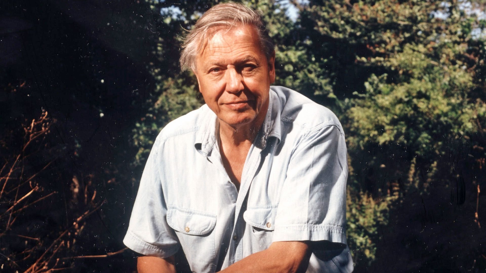 Attenborough's Passion Projects