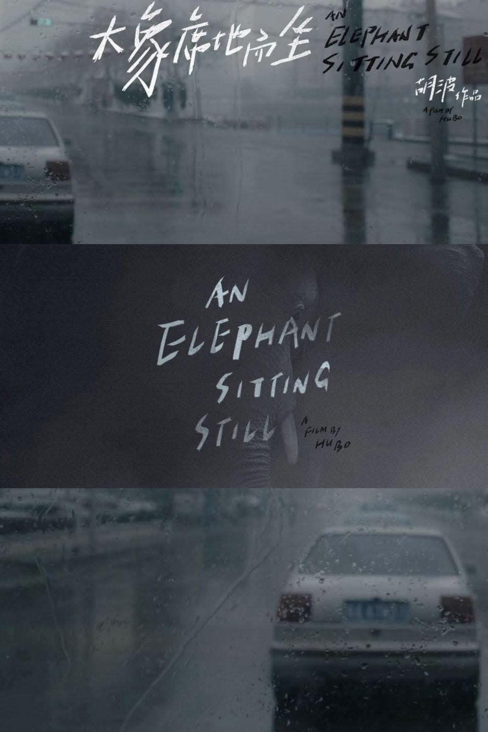 An Elephant Sitting Still