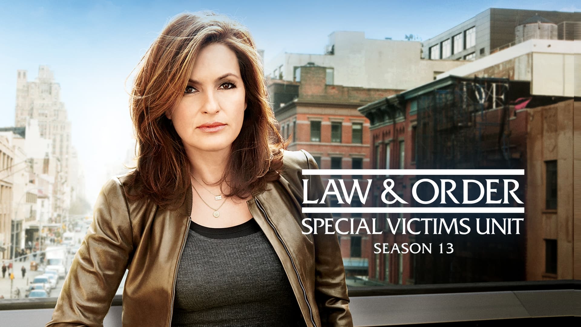 Law & Order: Special Victims Unit - Season 13 (1970)