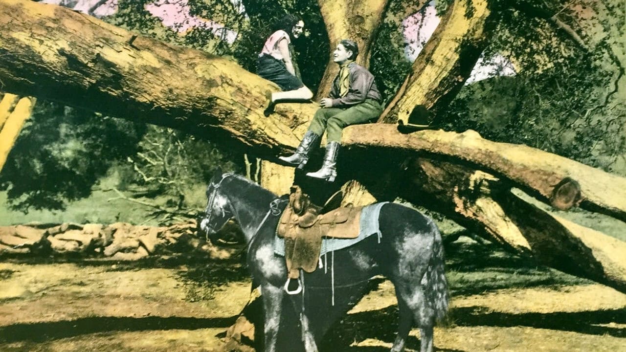The Wild Girl (1925)