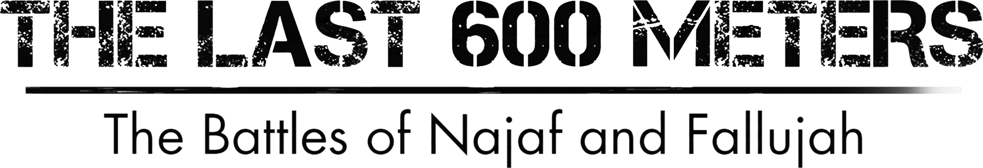 The Last 600 Meters: The Battles of Najaf and Fallujah