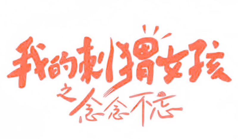 我的刺猬女孩之念念不忘