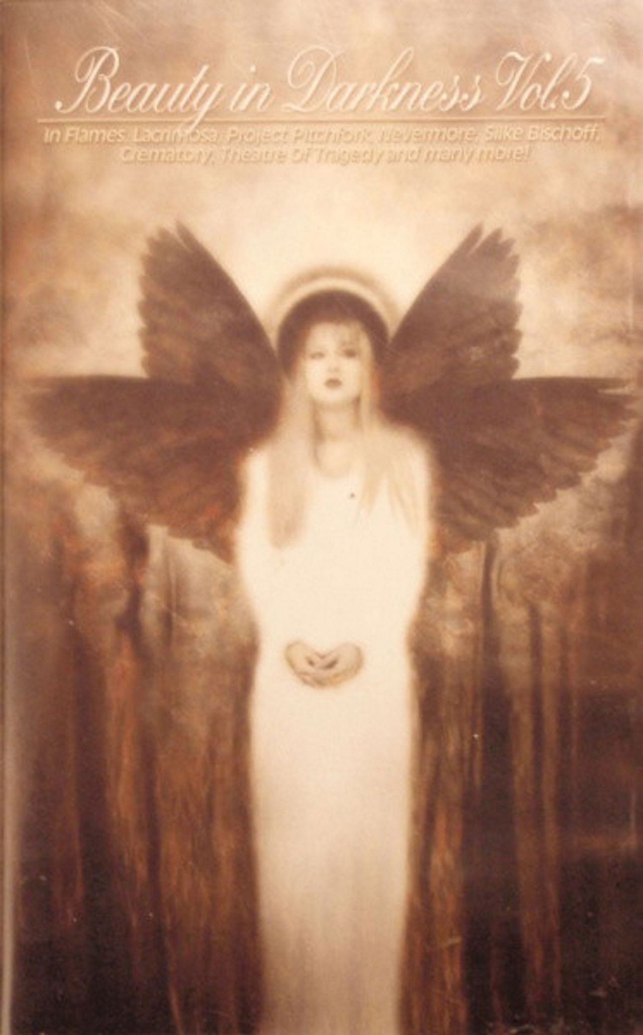 Beauty In Darkness Vol. 5