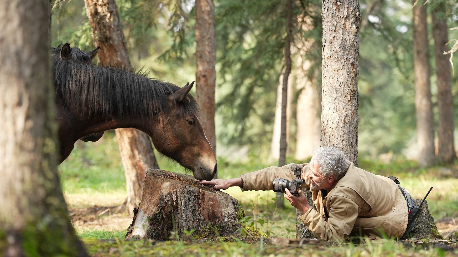 Wild Horses, the Rockies and Me backdrop image